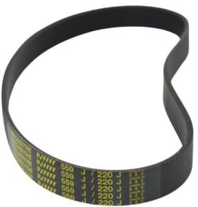 Rippenriemen 8 PJ559 für F9 Türantrieb